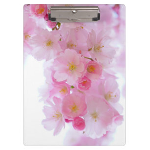 Japanese Cherry Tree Blossom Clipboard