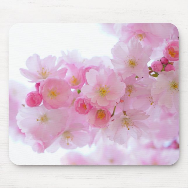 Japanese Cherry Tree Blossom Mouse Pad (Front)