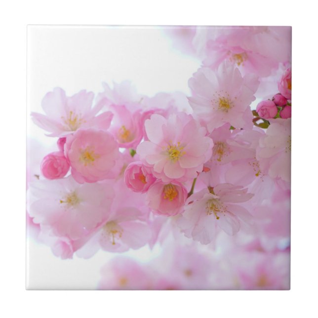 Japanese Cherry Tree Blossom Tile (Front)