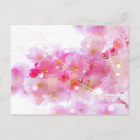 Japanese Cherry Tree with Pastel Pink Blossoms