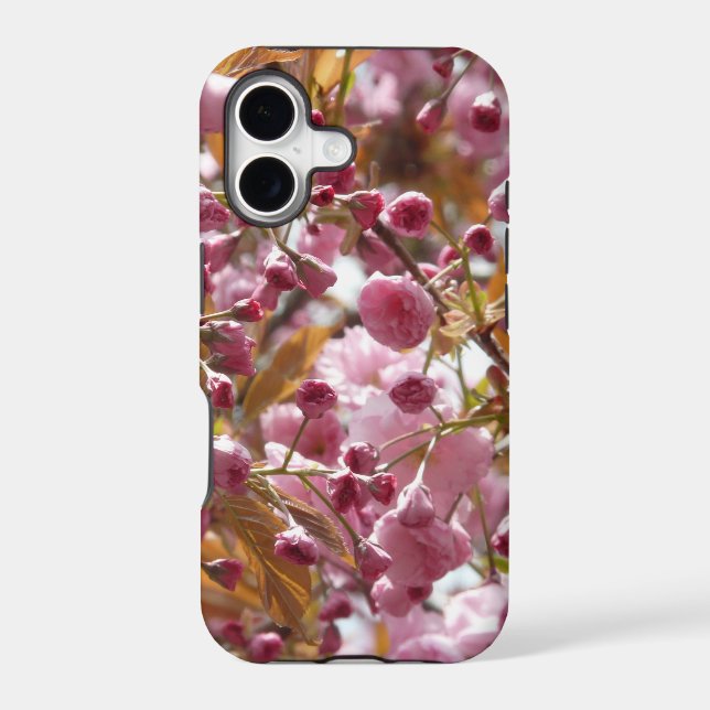 Japanese Cherry Trees (Back)