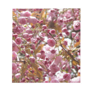 Japanese Cherry Trees Notepad