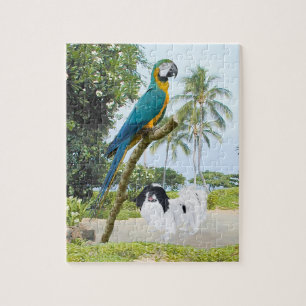 Japanese Chin and Macaw Jigsaw Puzzle