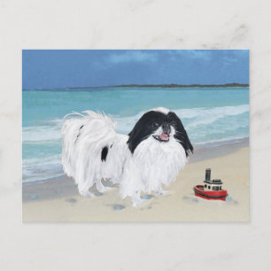 Japanese Chin at the Beach Postcard
