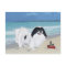 Japanese Chin at the Beach