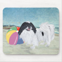 Japanese Chin Beach Ball