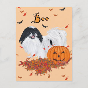 Japanese Chin Halloween Postcard