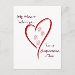 Japanese Chin Heart Belongs Postcard