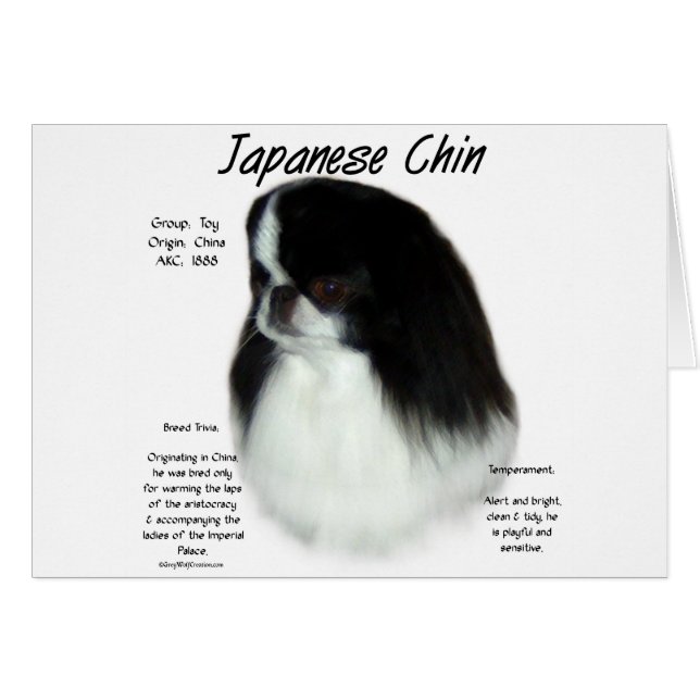 Japanese Chin History Design (Front Horizontal)