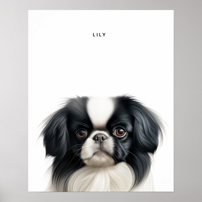 Japanese Chin Personalised Print (Front)