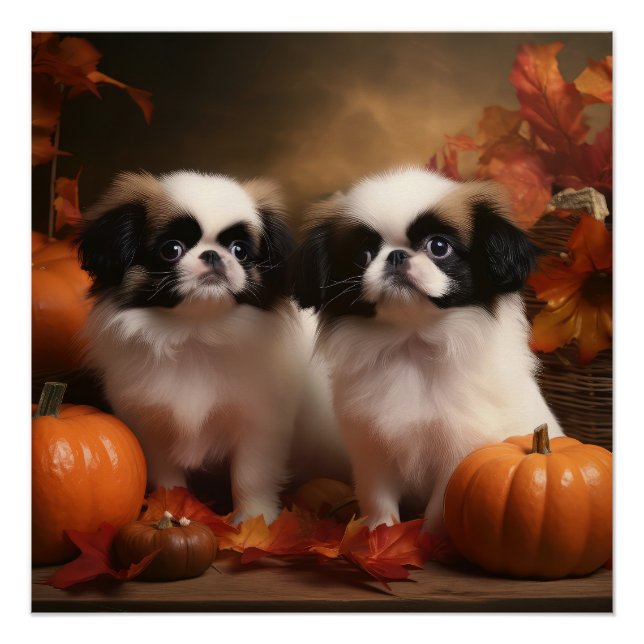 Japanese Chin Puppy Autumn Delight Pumpkin  Poster (Front)