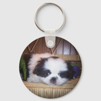 Japanese Chin Puppy Key Ring