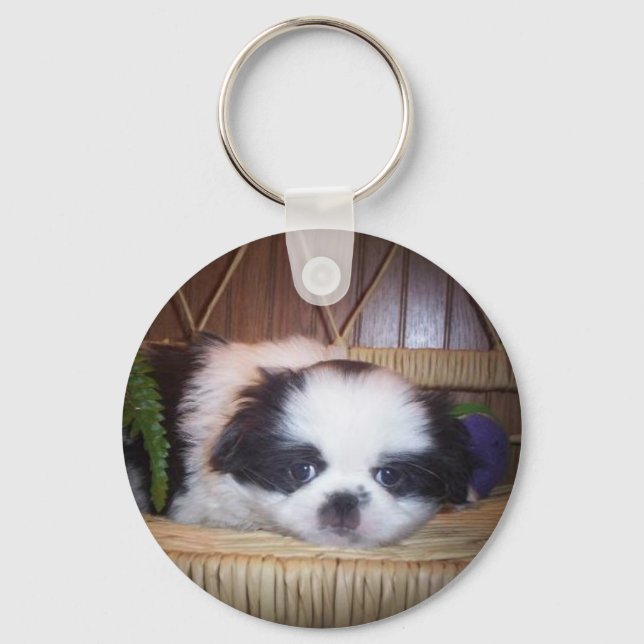Japanese Chin Puppy Key Ring (Front)