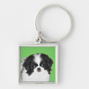 Japanese Chin Puppy Painting - Original Dog Art Key Ring