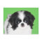 Japanese Chin Puppy Painting - Original Dog Art