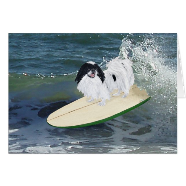 Japanese Chin Surfing (Front Horizontal)