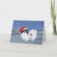 Japanese Chin Winter Night