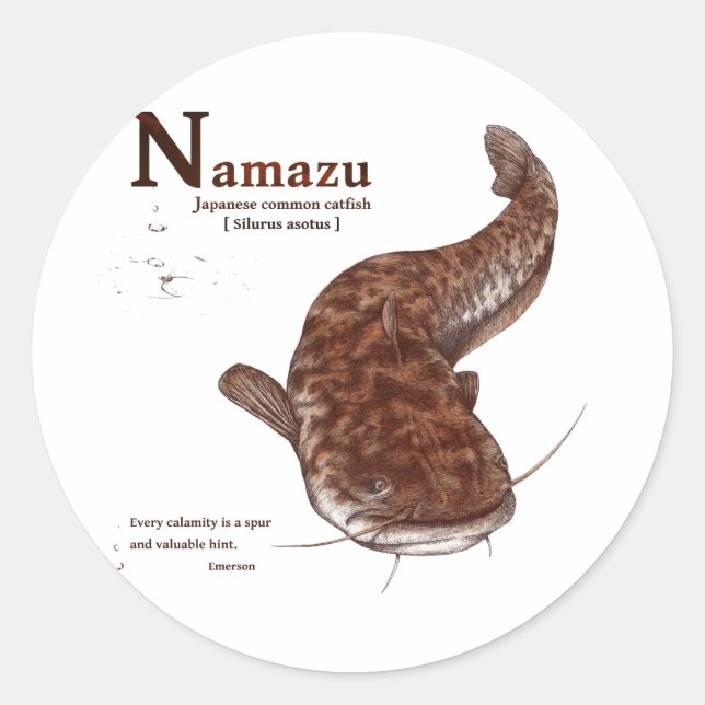 Japanese common catfish - chocolate classic round sticker (Front)