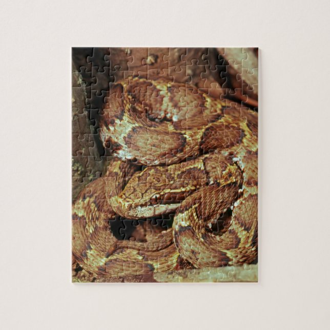 Japanese copperhead jigsaw puzzle (Vertical)