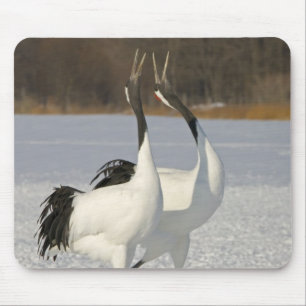 Japanese Cranes dancing on snow Mouse Pad