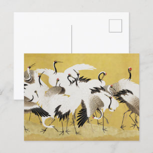 Japanese Cranes Vintage Bird Classic Postcard