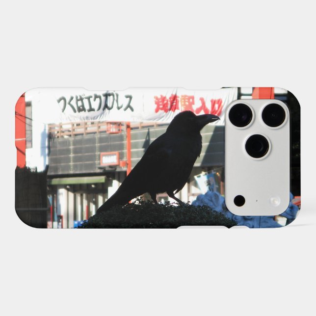 Japanese Crow (Back (Horizontal))
