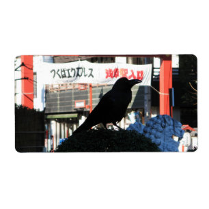 Japanese Crow