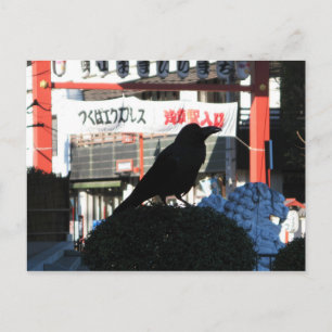 Japanese Crow Postcard