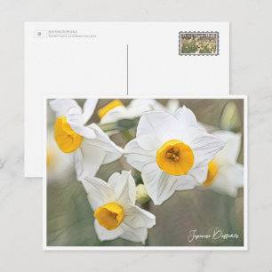 Japanese Daffodils Postcard