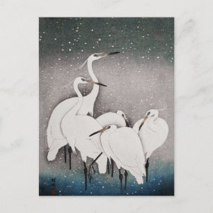 Japanese Egrets Koson Cranes Winter Snow Postcard