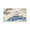 JAPANESE FISH and SHRIMP Business Card