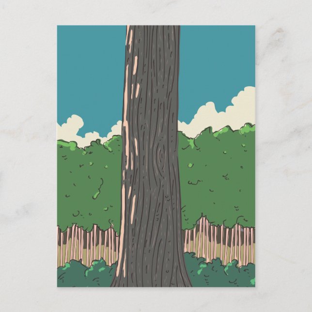 Japanese Forest trees Postcard (Front)