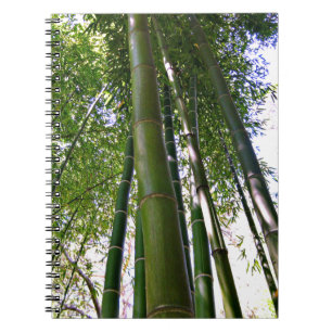 Japanese Garden Bamboo Forest Note Book