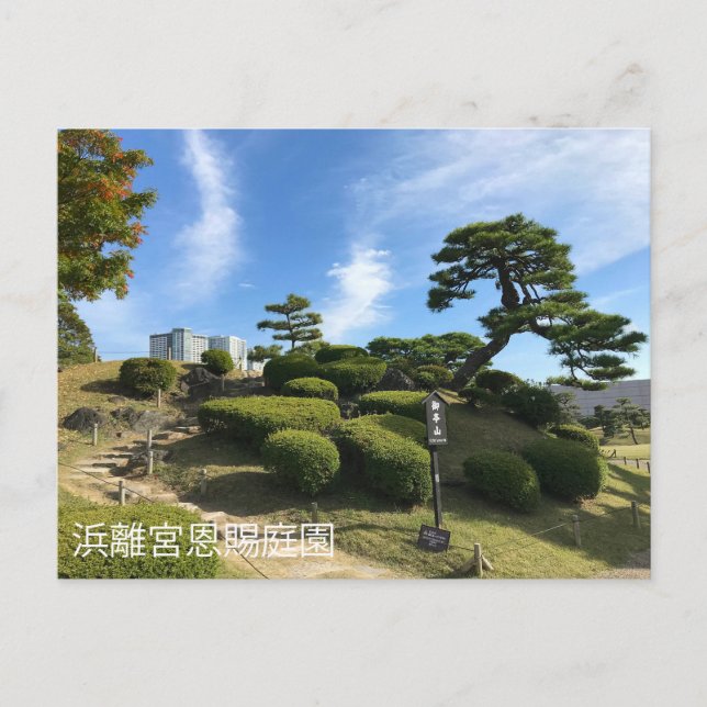 Japanese Garden Hill Postcard (Front)