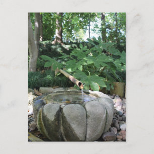 Japanese Garden in Fort Worth Texas # 119 Postcard