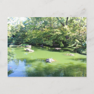Japanese Garden in Fort Worth Texas # 82 Postcard