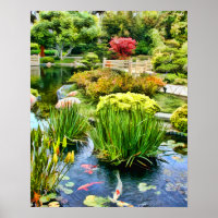 Japanese Garden Pond with Koi HDR july 10