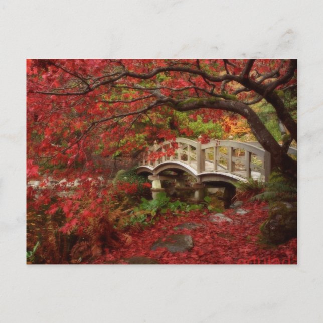 Japanese Garden Postcard (Front)