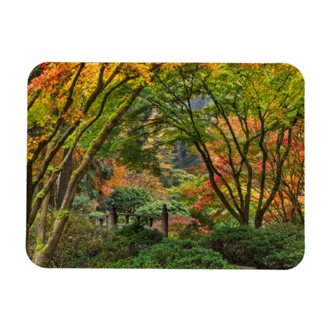Japanese Gardens In Autumn In Portland, Oregon 4 Magnet (Horizontal)