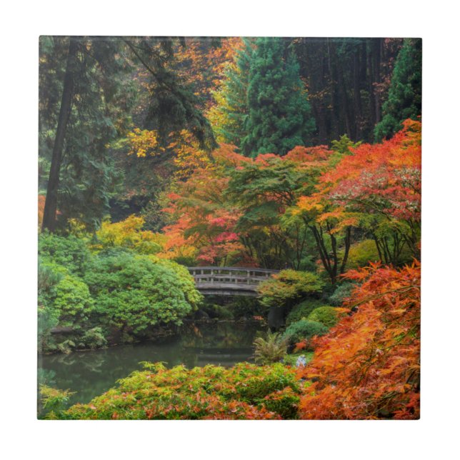 Japanese Gardens In Autumn In Portland, Oregon 5 Tile (Front)