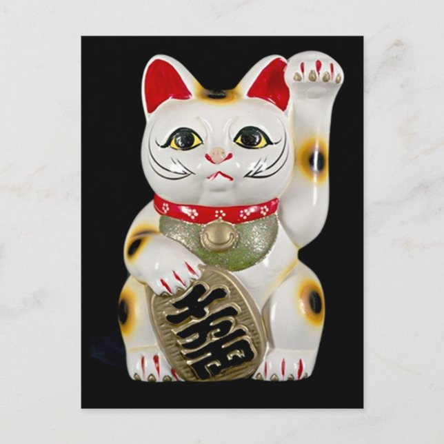 Japanese Good Luck Cat Postcard (Front)