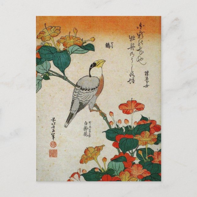 Japanese Grosbeak and Mirabilis Jalapa (Hokusai) Postcard (Front)