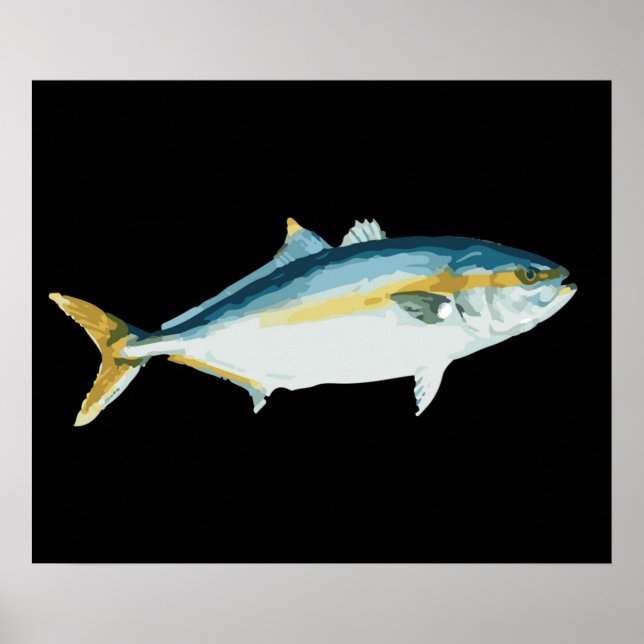 Japanese Hamachi Yellowtail Amberjack Poster (Front)