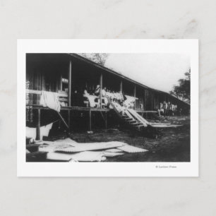 Japanese Homes in Hawaii Photograph Postcard