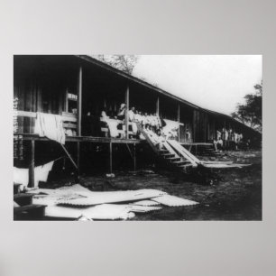 Japanese Homes in Hawaii Photograph Poster