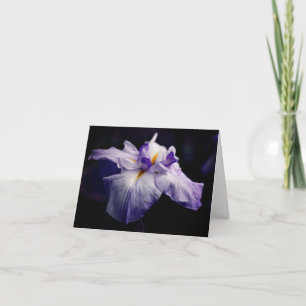 Japanese Iris Beauty Flower Photography Note Card