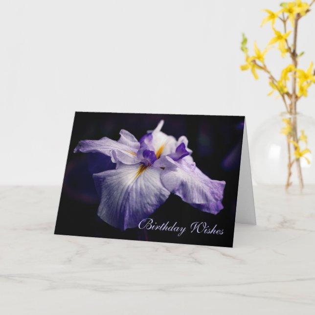 Japanese Iris Flower Beauty Birthday  Card (Yellow Flower)