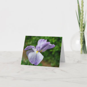Japanese Iris Unfolding Flower Photography  Note Card