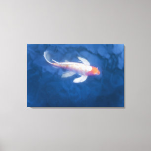 Japanese koi fish in pond, high angle view canvas print