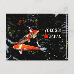 Japanese Koi fish nishikigoi postcrossing Postcard